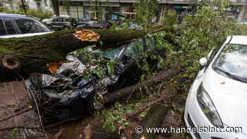 Rückversicherer: Hannover Rück übertrifft die Erwartungen – nun stehen die wichtigsten Monate an