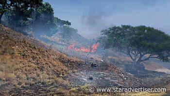 High winds from Dora fueled wildfires, downed power lines