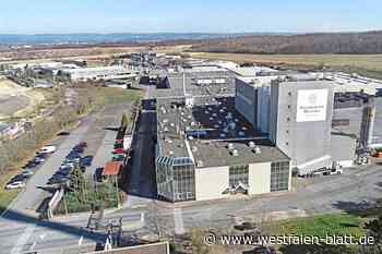 Millionen-Investition in die Paderborner Brauerei