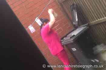 Bolton: Woman tried to kill kitten with brick in wheelie bin