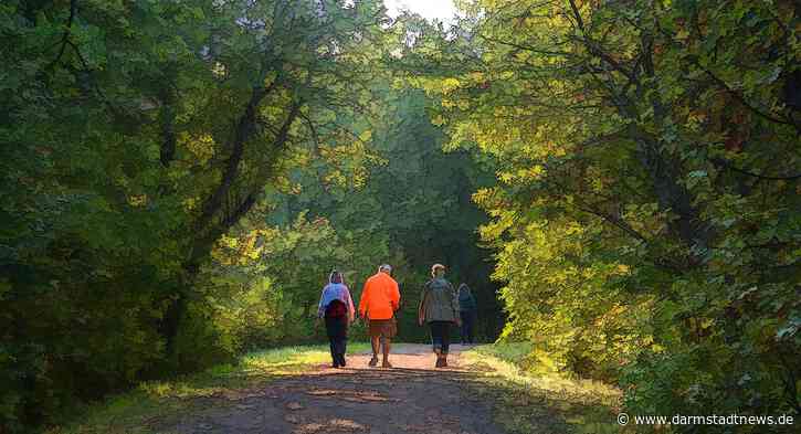 Zu Fuß oder mit dem Velo: Freizeitkarte für Stadt und Landkreis ist in der 13. Auflage erschienen