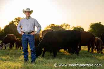 Mathis selected to lead Texas A&amp;M Department of Animal Science