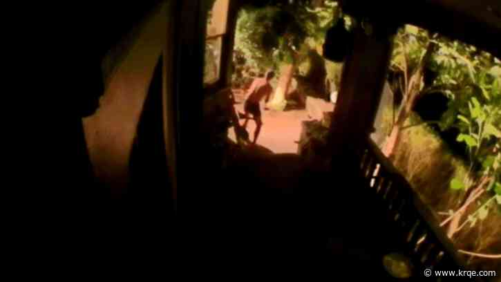 Caught on Camera: Man defends dog from aggressive raccoon attack in Northwest Portland