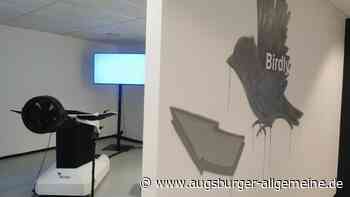 Neue Flugsimulationen im Angebot: Der Birdly aus Ulm kann jetzt mehr