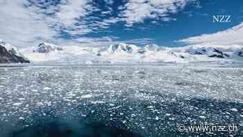 Forscher rätseln, warum das antarktische Meereis so langsam wächst