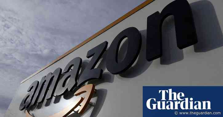 Amazon removes books ‘generated by AI’ for sale under author’s name