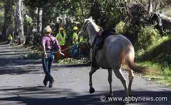 People flee into ocean to escape wildfires at popular Hawaii tourist town