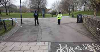 Castle Park murder trial: Defendant said he pulled out machete but 'didn't want to hurt anybody'