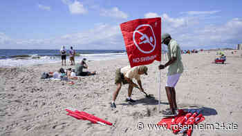 Erste Hai-Attacke seit Jahrzehnten in New York – Frau (50) schwer verletzt