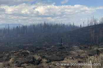Rain and cooler weather bring reprieve to B.C. wildfire crews, but only for few days
