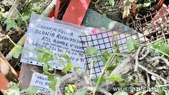 Colonie feline demolite “per sbaglio”, gli animalisti passano all’attacco. Diffidata l’ex provincia