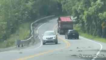 About 150 dead chickens spilled across Niagara Region road 'smelled like rot,' farmer says