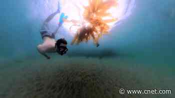 Hands-On With Insta360 X3 and Invisible Dive Case     - CNET