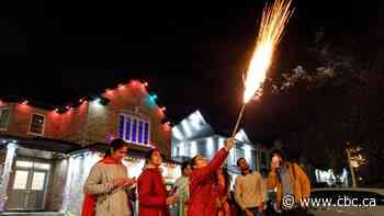 Saskatoon council considers allowing permit-free fireworks on Diwali and Lunar New Year