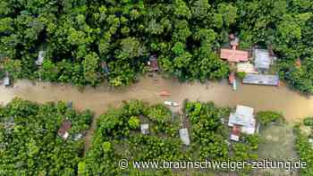 Wie den Amazonas-Regenwald retten? Das sagen Experten