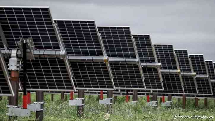 Renewable energy workers say Alberta’s pause will wipe out season of work