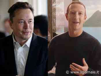 L'incontro di lotta tra Musk e Zuckerber si farà. Ecco quando
