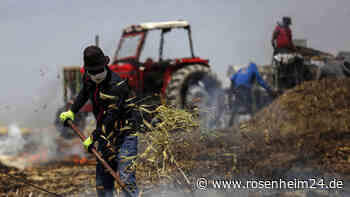 Nach Ende des Getreideabkommens: Auch Wetterphänomen kann neue Ernährungskrise auslösen