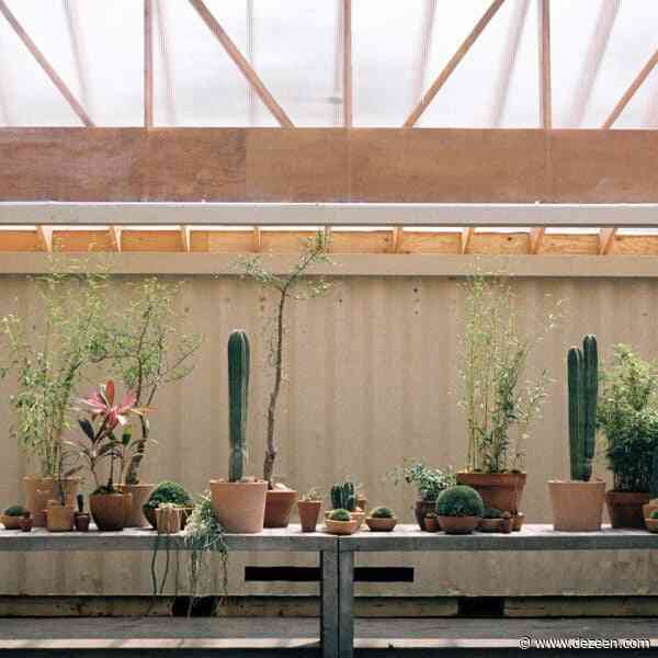Mattaforma considers "plants as clients" for Public Records outdoor space
