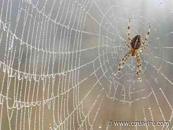 OpenAI's GPTBot: Charting the Web, Chasing the Future