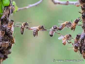 Bridging the Empathy Gap With Customers