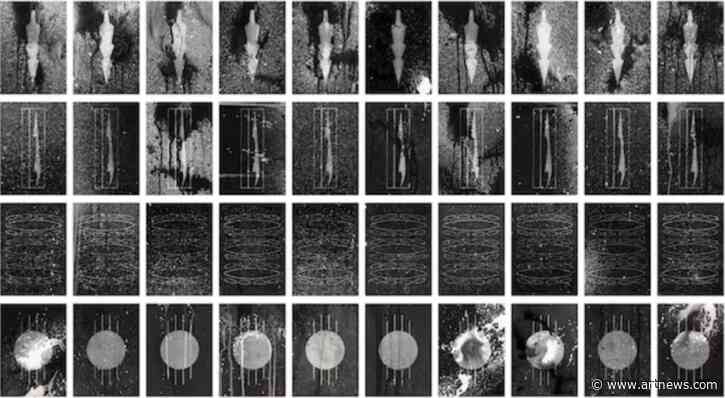 Artist Award Roundup: Ellsworth Kelly Award Goes to Dakota Mace, Archives of American Art Awards Medal to Jaune Quick-to-See Smith, and More