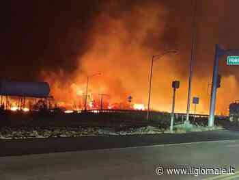 "Almeno sei morti a Maui". Alle Hawaii è emergenza incendi