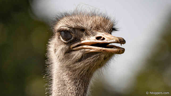 The Great Debate: Why Gear Doesn't Make You a Better Photographer