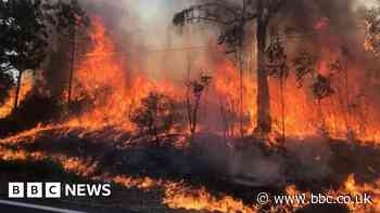 Hampshire family escapes Portugal wildfires