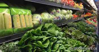 42 per cent usage increase of Regina Food Bank