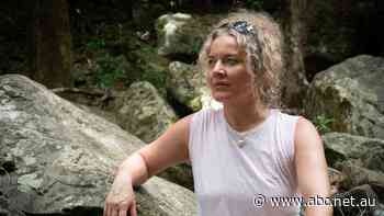 Investigation finds VicForests hired private investigator to 'collect dirt' on environmentalists