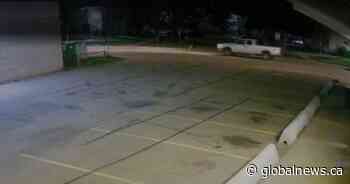 Death of male victim found in burnt-out truck deemed homicide: EPS