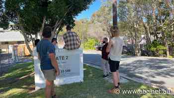 'Storm in a tea cup': Clive Palmer says resort revamp on track as locked-out tradies line up to collect tools