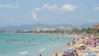 Preis-Explosion auf Mallorca: Urlauberin gibt Einblick, Experten raten zu wichtigem Trick