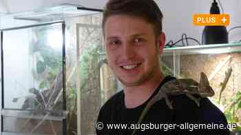 Ausgebüxtes Chamäleon in Pfuhl gefunden – Besitzer plant Zoo in Günzburg