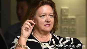 'Load of bungle': Gina Rinehart's lawyer rubbishes rival claim for slice of mining fortune