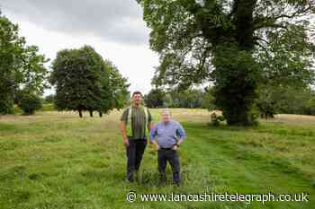 Rewilding scheme connecting Clitheroe residents with nature