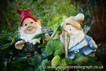 Letter: Garden gnomes are the answer to a dull world