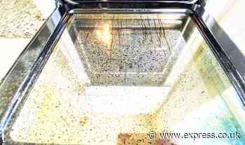 Remove ‘thick stubborn grease’ from oven glass with ‘magic’ item that ‘melts it all away’