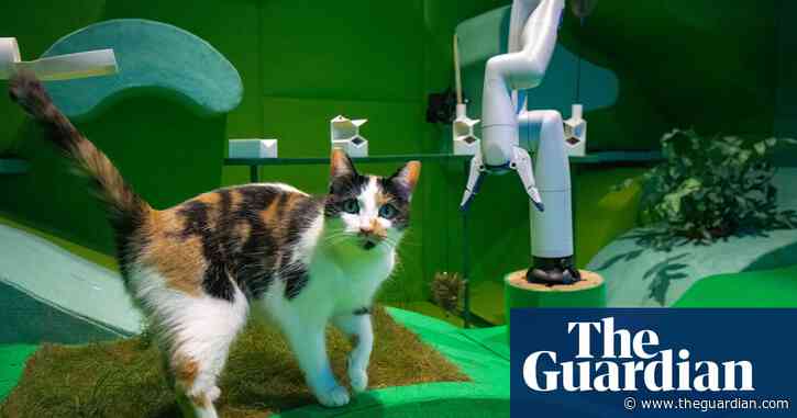 Meet the artists reclaiming AI from big tech – with the help of cats, bees and drag queens