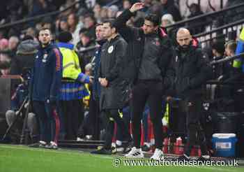 Watford appoint new lead coaches for Academy teams