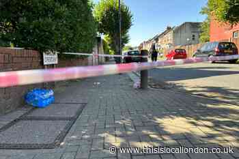 Dad's fears for children after Harrow triple stabbing