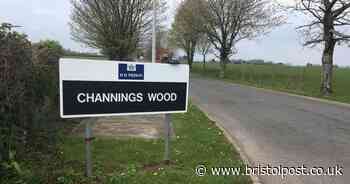 Accountant jailed for sexually abusing teenager dies in custody