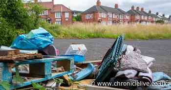 Newcastle named second worst fly-tipping hotspot outside London as council condemns 'abhorrent' crime