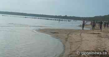 Dozens of bystanders form line to find missing child at Ontario beach