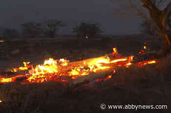 Deadly Hawaiian wildfires delay flight to British Columbia