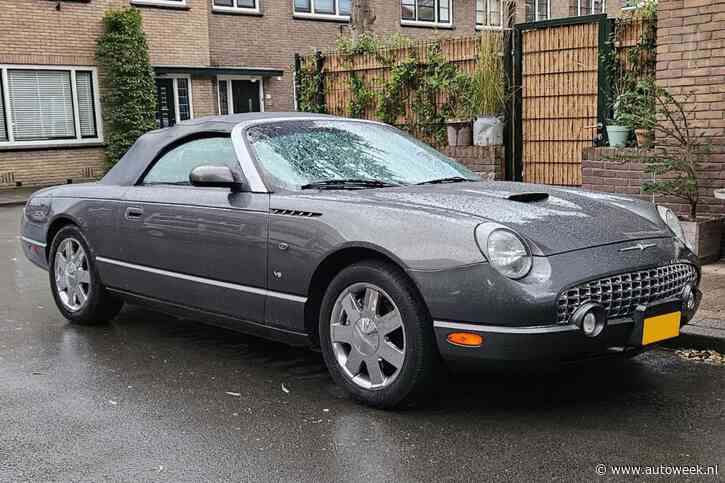 Ford Thunderbird (2004) - In het Wild