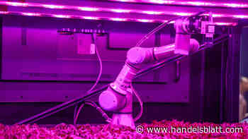 Fusionen und Übernahmen: Bei Verkäufen von Mittelständlern gibt es einen „Boomer-Effekt“