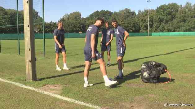 Patro Eisden wil nooit meer weg uit Pro League