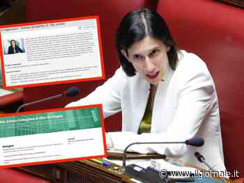 "La Schlein non c'entra nulla". L'ultima figuraccia dei dem: ecco i documenti